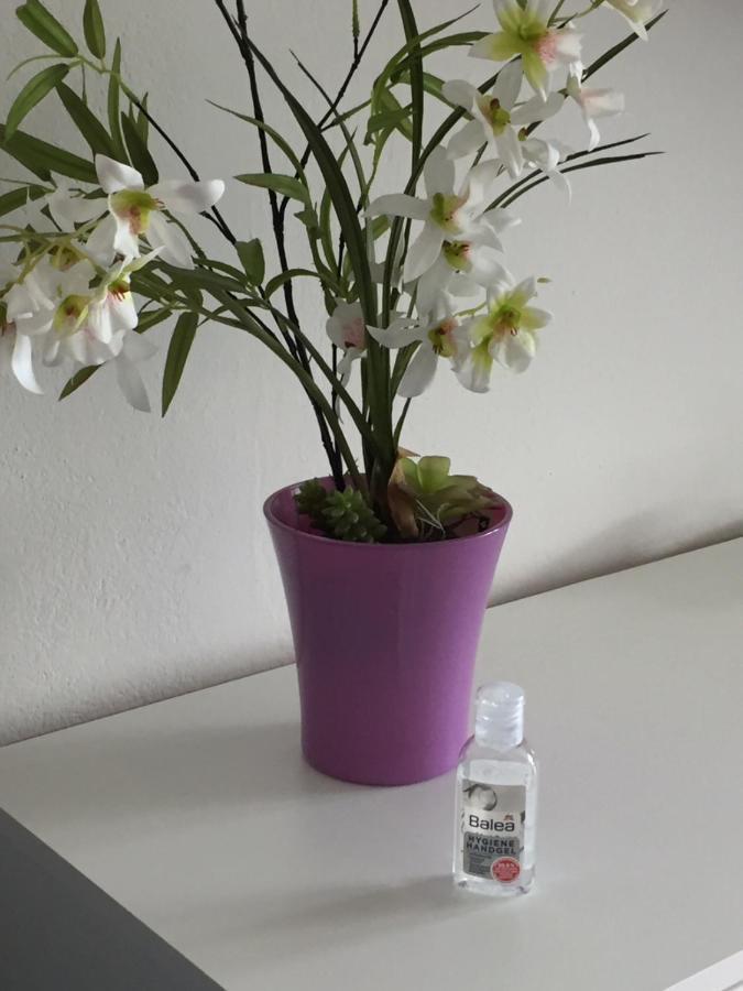 Ferienappartement Grocke Kaprun Eksteriør bilde